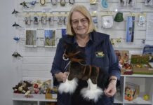 Council reviews working groups