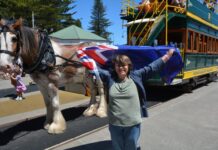 Nedra is a gem in the community