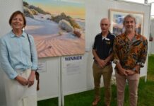 Art Show raises funds for community