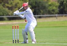 A Seering haul for Willunga