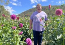 Where Briar Rose flower farm stemmed from