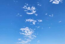 Jockey in induced coma after trackwork incident