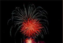 A great start to 2024