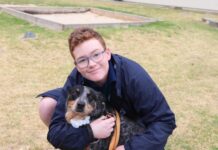 Pups and pupils at school