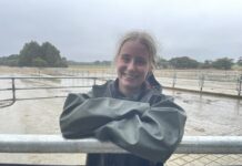 A positive dairy outlook