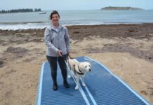 Disability inclusion