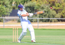 Cracking cricket action