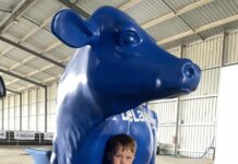 Calls for further funding following dairy launch