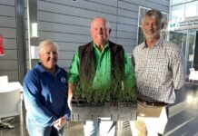 Biodiversity Victor plant seeds of thought for council