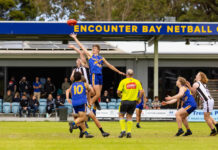 Bays to climb the ladder in 24