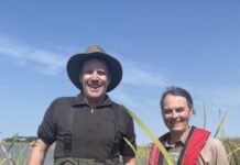 Climate change and blue green algae