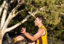 New voice at the Hawks