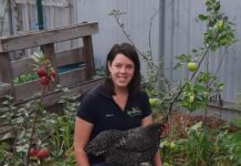 What’s On at the Library in April