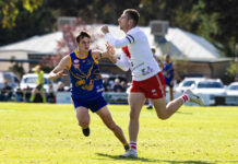 The perennial finalists