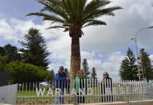 Finalists in Leadership