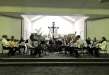 South Coast Orchestra captivates
