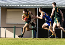 Shillabeer takes the reigns