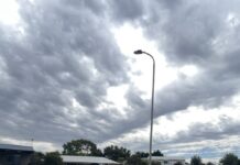 Lighting the way in Clayton Bay