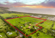 Council’s ‘unprecedented’ submission over Normanville park plans