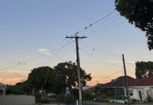 No surge for power prices