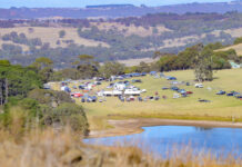 The Backbone of Hillclimb