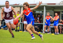 Stars picked for Southern squad