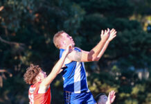 Mudlarks upset premiers