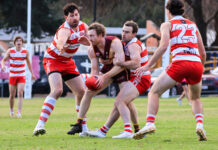 Willunga bounce back