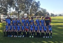 Representing the Southern Fleurieu