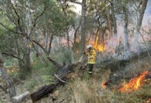 Prescribed burning a success