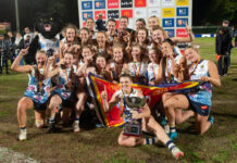 Three flags for Panthers