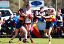 Demons, Sheagles do battle