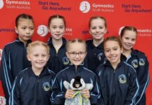 Gymnasts soar to new heights