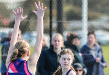 The power of Yankalilla