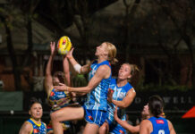 Roos bounce over Crows