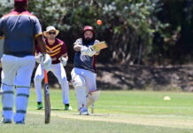 Horns locked in battle