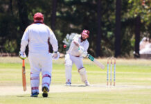 Willunga have fallen