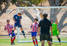 Breakers crack the Cove