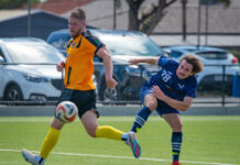 Breakers preseason continues