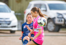 Cup draw announced for Breakers