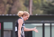 Roosters, Sheagles remain on winners list