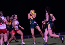 Demons one game clear at top of ladder