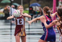Netball in Great Southern