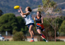 Sheagles score big win over Roosters