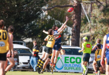 Roosters nearly rattle Roos