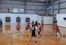 Senior basketball action