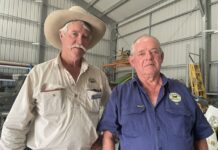 Where to now? Advice for Fleurieu