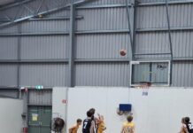 Rising basketball stars