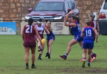 Great Southern women retain Jan Bache Cup