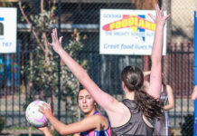 Fleurieu netballers in action